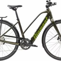 Diamant 365 Deluxe (Midstep) Oxidgrün Metallic E-Bike Trekkingrad Damen